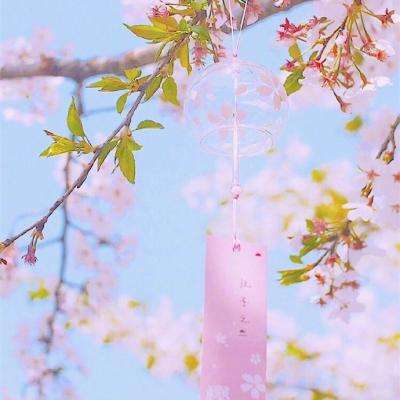 于东来嫌峰会票价高：每人退3000元